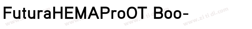 FuturaHEMAProOT Boo字体转换